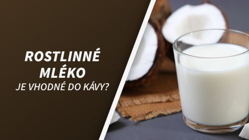 Rostlinné mléko do kávy: Jaké je nejlepší? A jak ho našlehat?